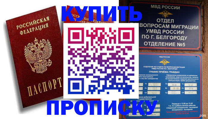 прописка иностранных граждан в Тайге